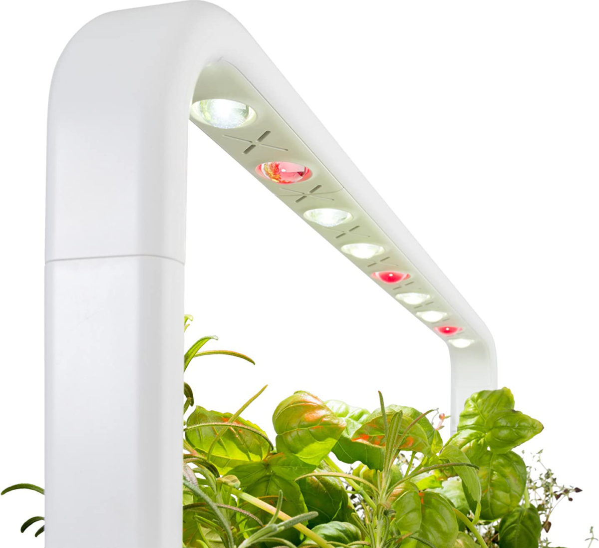 smart-garden-9-click-and-grow-1